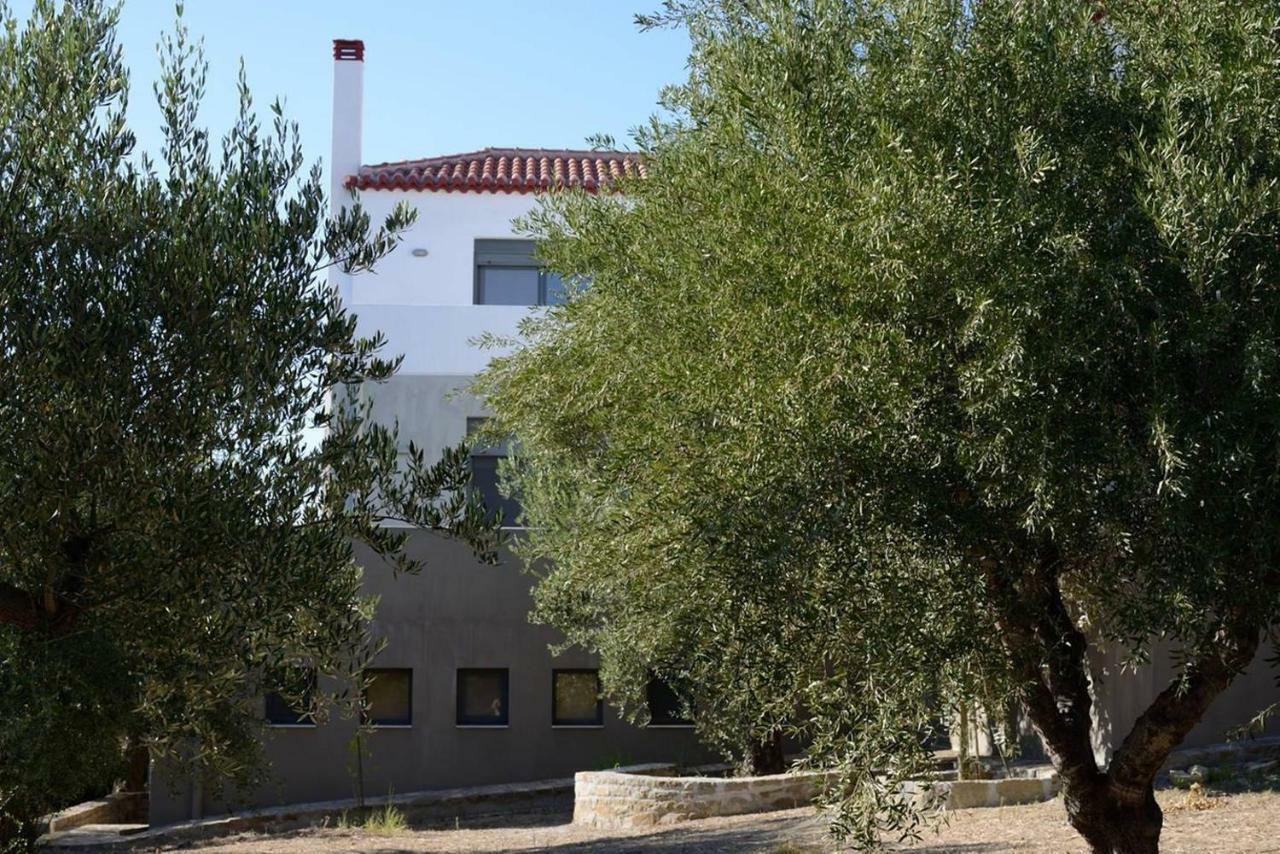 Liofyto - Stylish Villa With Views To Foinikounda Bay Kamária Екстериор снимка