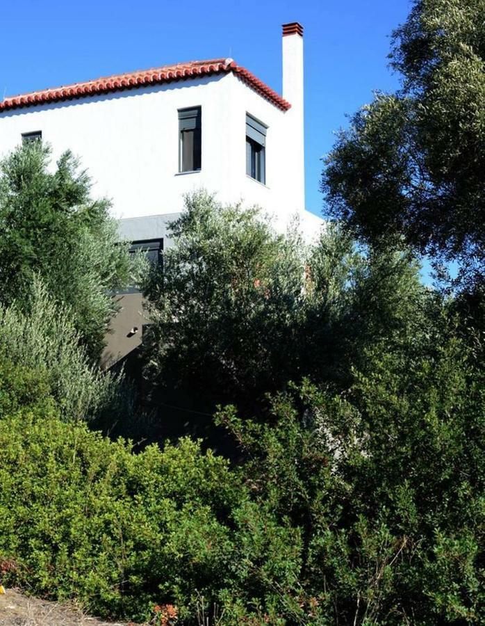 Liofyto - Stylish Villa With Views To Foinikounda Bay Kamária Екстериор снимка